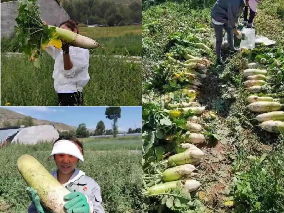 16298787156805.jpg 微信圖片_20210823114543.jpg